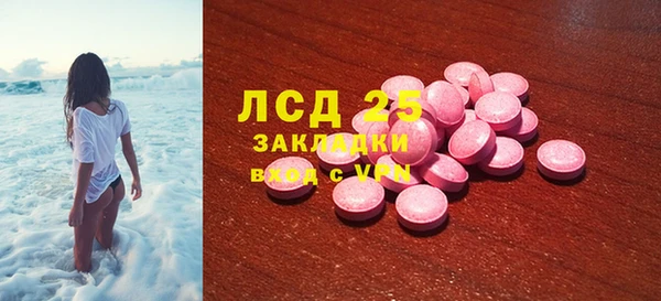 ГАЛЛЮЦИНОГЕННЫЕ ГРИБЫ Пересвет