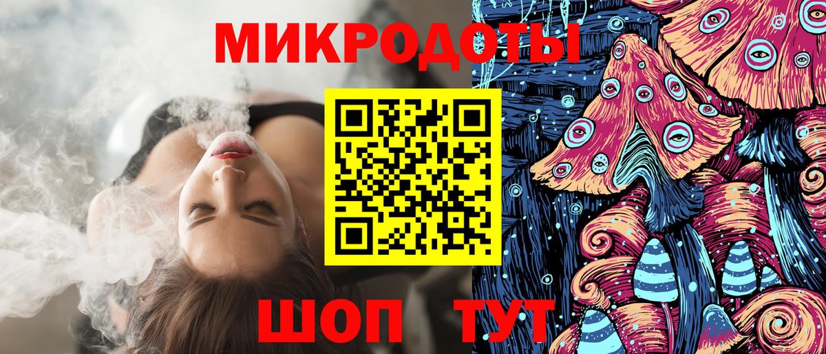 Псилоцибиновые грибы Psilocybe Лесной