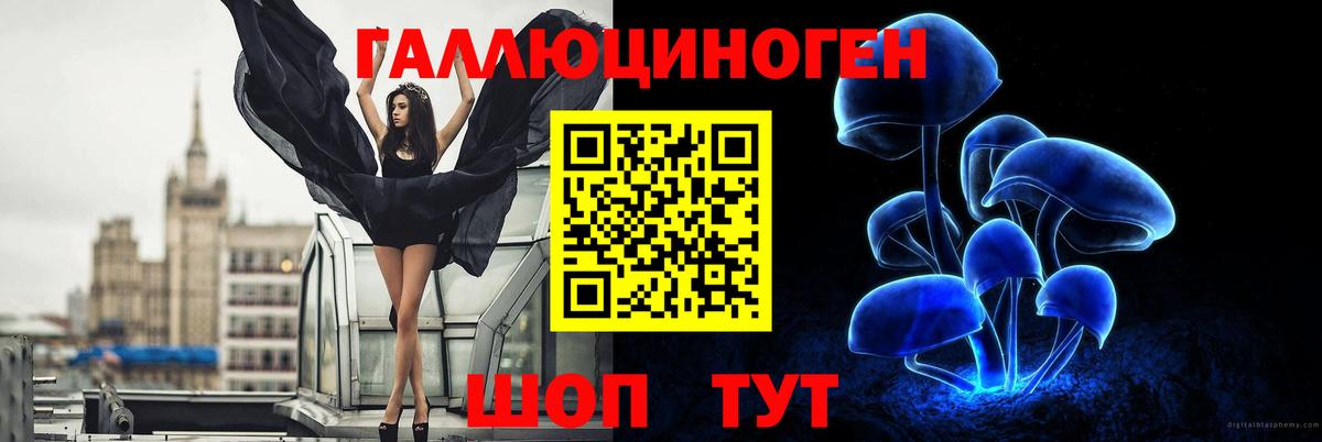 дарнет шоп  Псилоцибиновые грибы прущие грибы  Галлюциногенные грибы прущие грибы  Вход с VPN  Лесной 